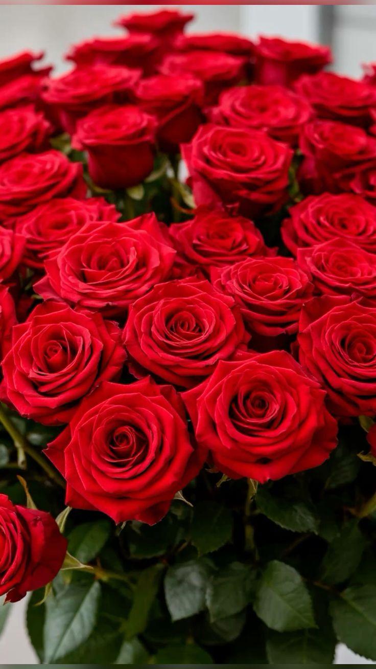 Vista Atlas Studio workshop space where corporate flower arrangements are designed and prepared for business delivery